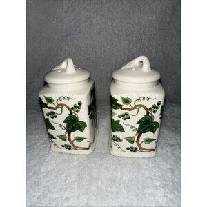 Ivy Ceramic Salt And Pepper Shaker Set Made In Japan